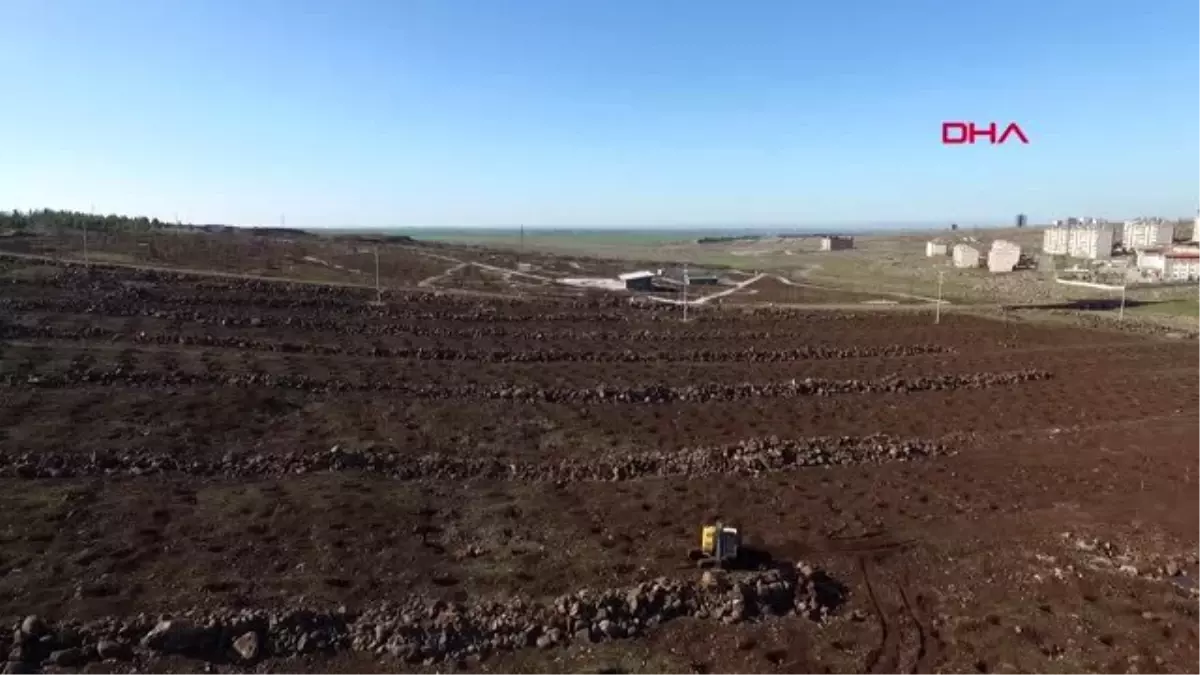 Şanlıurfa siverek'te 'kent ormanı' projesi