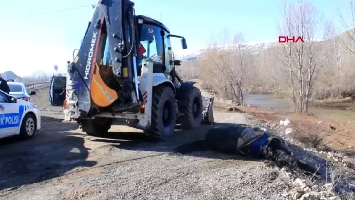 Sivas'ta otomobilin çarptığı at, telef oldu