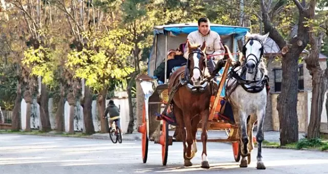Adalar'da faytonların yerine kullanılacak elektrikli araçlar satın alındı! İşte görüntüleri.