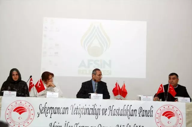 Afşin'de şekerpancarı yetiştiriciliği paneli Afşin'de şekerpancarı yetiştiriciliği paneli