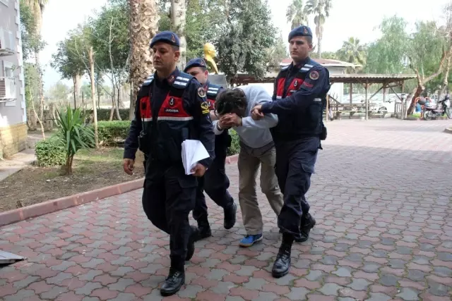 Aranan şahıs için baskın yaptıkları evde uyuşturucu tarlasıyla karşılaştılar Aranan şahıs için baskın yaptıkları evde uyuşturucu tarlasıyla karşılaştılar