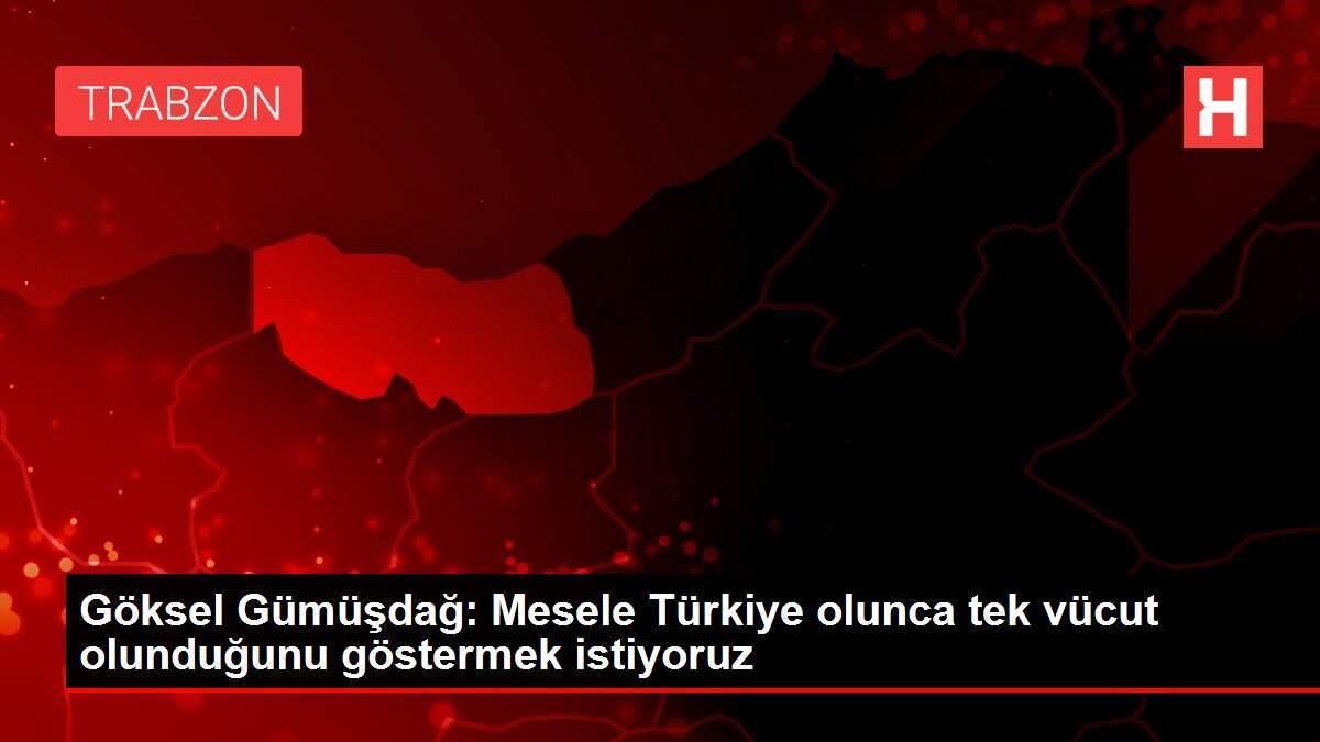 Göksel Gümüşdağ: Mesele Türkiye olunca tek vücut olunduğunu göstermek istiyoruz Göksel Gümüşdağ: Mesele Türkiye olunca tek vücut olunduğunu göstermek istiyoruz