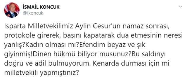 İYİ Partili Aylin Cesur'a kendi partisinin vekili sahip çıktı.
