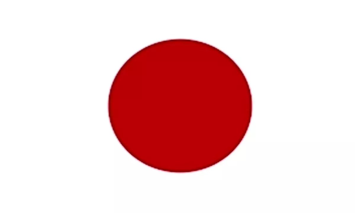 Japonya'da korkutan tablo