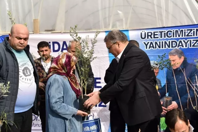 Yunusemre'den üreticiye fidan desteği Yunusemre'den üreticiye fidan desteği