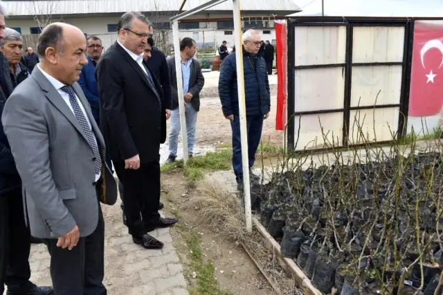 Yunusemre'den üreticiye fidan desteği Yunusemre'den üreticiye fidan desteği
