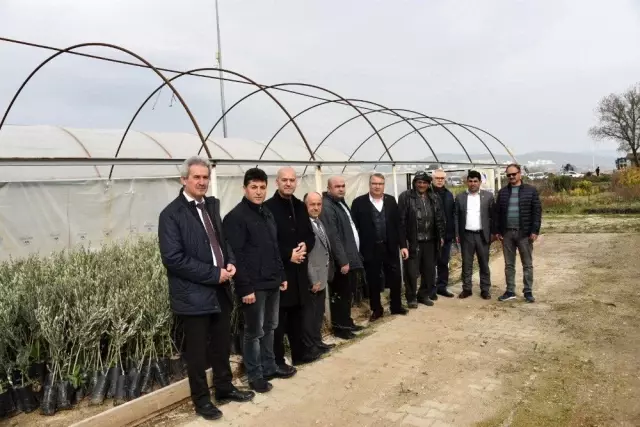 Yunusemre'den üreticiye fidan desteği Yunusemre'den üreticiye fidan desteği