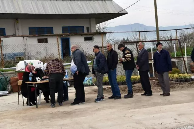 Yunusemre'den üreticiye fidan desteği Yunusemre'den üreticiye fidan desteği