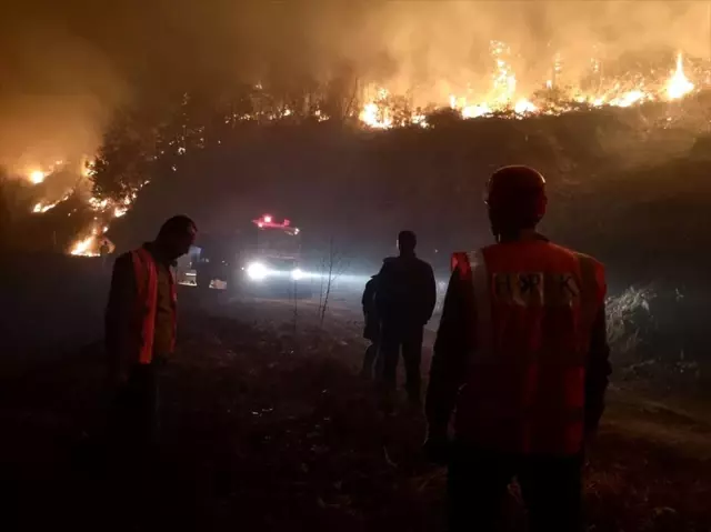 Artvin'deki orman yangınında 10 dönümlük alan zarar gördü