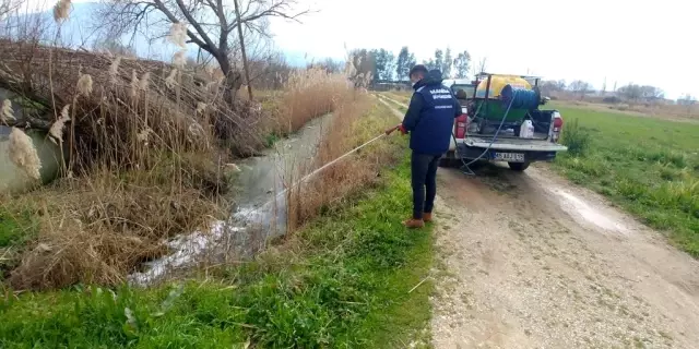 Bahar geldi, haşere ile mücadele başladı Bahar geldi, haşere ile mücadele başladı