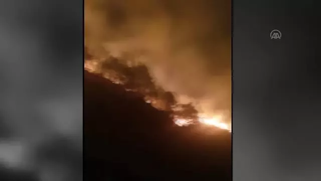 Orman yangınında 10 dönümlük alan zarar gördü Orman yangınında 10 dönümlük alan zarar gördü