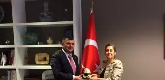 Serkan Koyuncu: Başkan Koyuncu'dan Brüksel Başkonsolosu Dilşad Kırbaşlı Karaoğlu'na ziyaret Serkan Koyuncu: Başkan Koyuncu'dan Brüksel Başkonsolosu Dilşad Kırbaşlı Karaoğlu'na ziyaret
