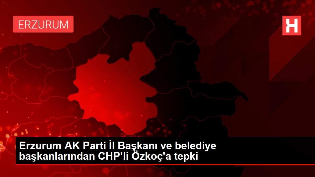 Erzurum AK Parti İl Başkanı ve belediye başkanlarından CHP'li Özkoç'a tepki Erzurum AK Parti İl Başkanı ve belediye başkanlarından CHP'li Özkoç'a tepki
