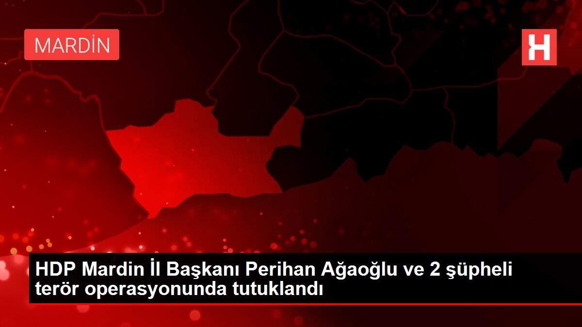 HDP Mardin İl Başkanı Perihan Ağaoğlu ve 2 şüpheli terör operasyonunda tutuklandı