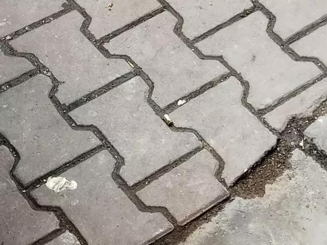 Kağıthane'de dehşet