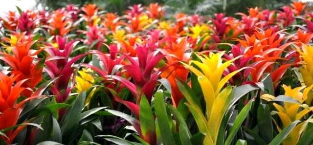 8 Mart Kadınlar Günü hediyeleri! 8 Mart Dünya Günü'nde alınabilecek hediyeler!