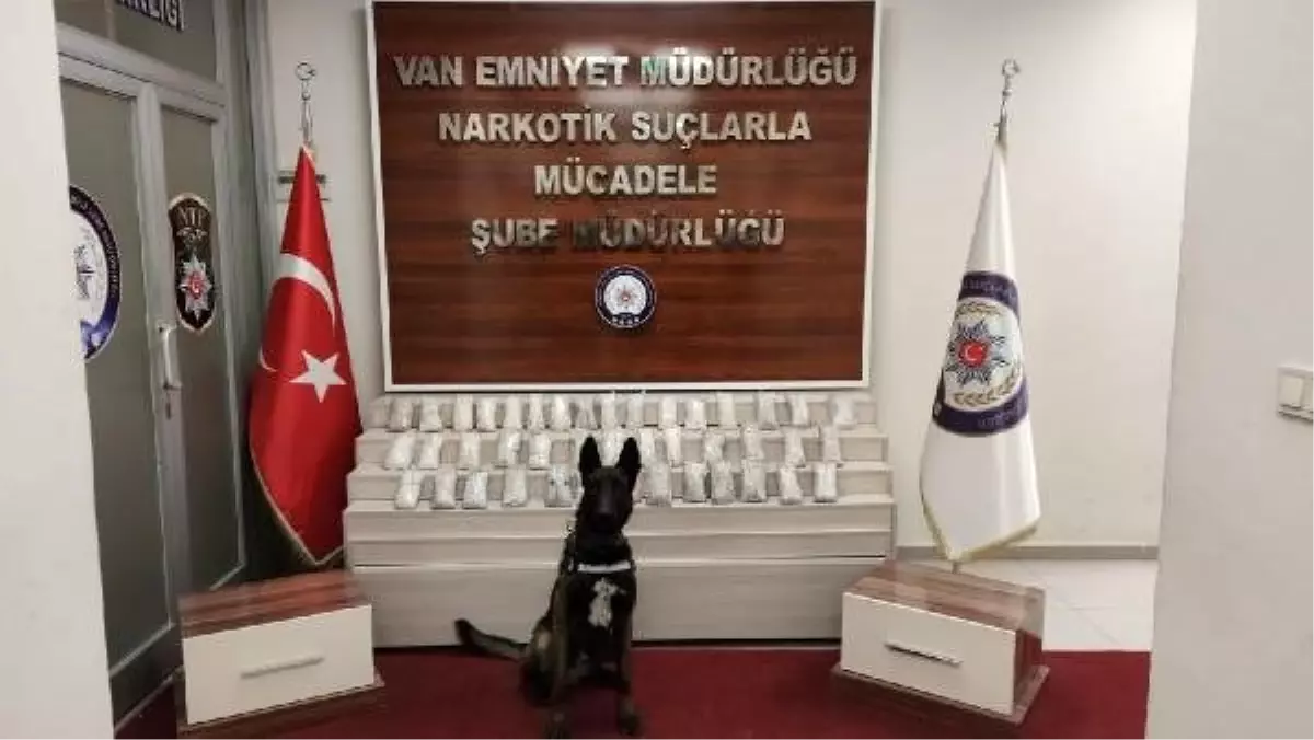 Van'da uyuşturucu operasyonu