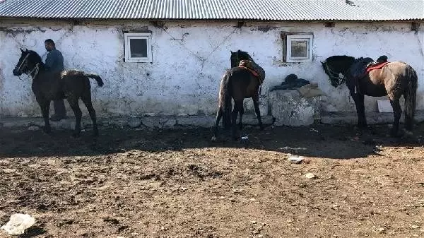 Karslı Baran'ın at tutkusu Karslı Baran'ın at tutkusu
