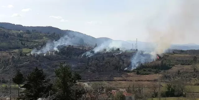 Türkeli ve Ayancık'ta orman yangını
