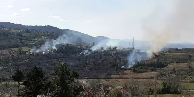 Türkeli ve Ayancık'ta orman yangını