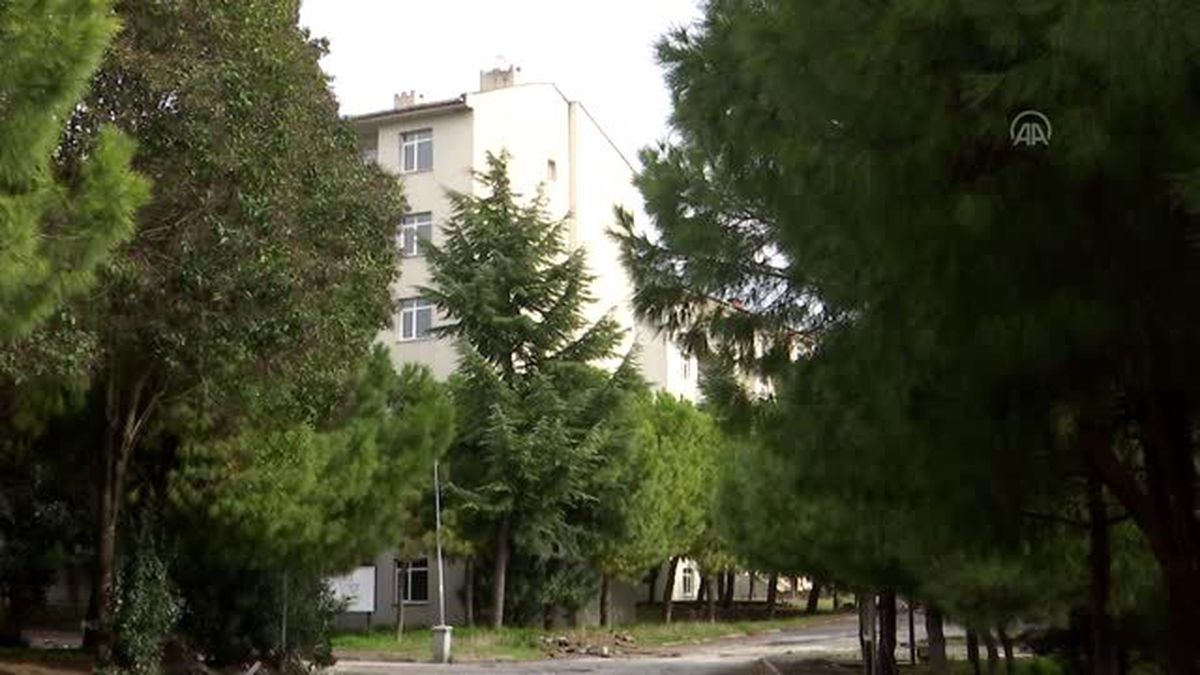 Zeytinburnu'nda yıkılacak askeri lojmanlardaki ağaçlar, millet bahçesinde korunacak
