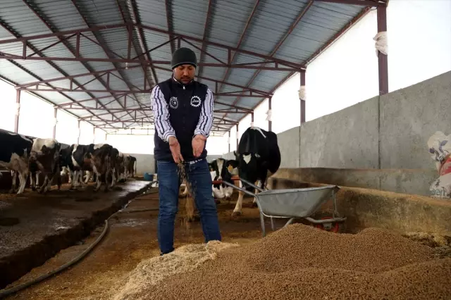 Suriyeli veteriner Şanlıurfa'da süt üreticisi oldu