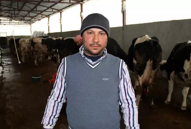 Suriyeli veteriner Şanlıurfa'da süt üreticisi oldu