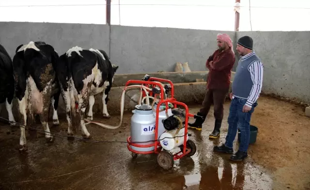 Suriyeli veteriner Şanlıurfa'da süt üreticisi oldu
