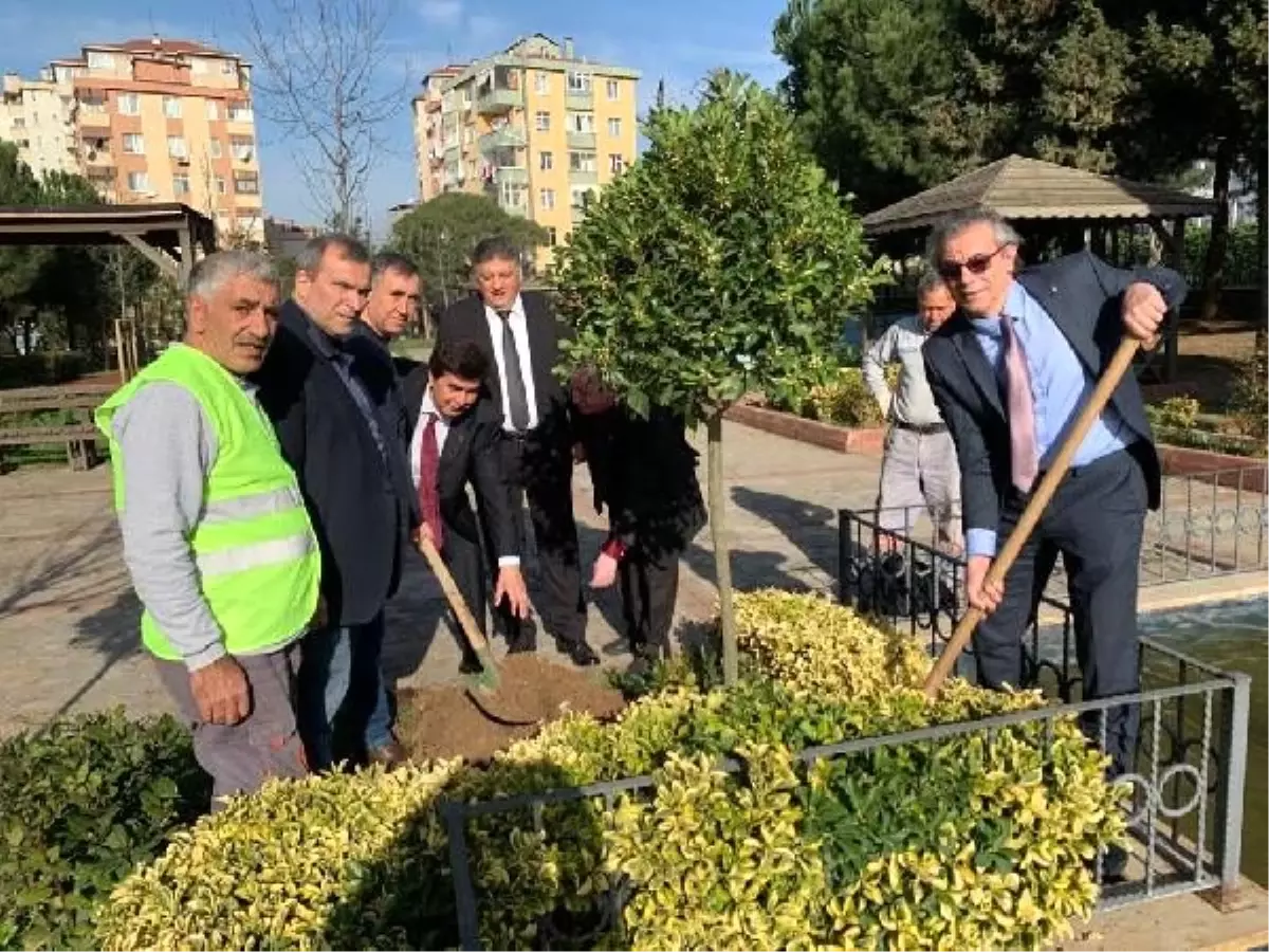 Uzlaştırmacılar çalıştay düzenleyip, fidan dikti