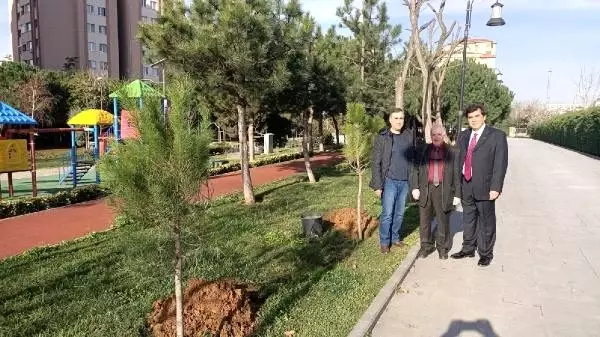 Uzlaştırmacılar çalıştay düzenleyip, fidan dikti