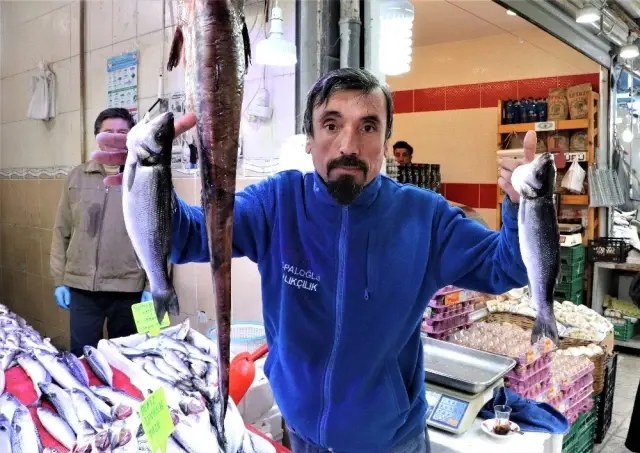 Balık tezgahlarında her şey 10 lira