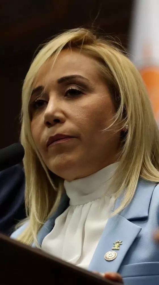Cumhurbaşkanı Erdoğan: 'Yunanlıların yaptıklarının Naziler'in yaptıklarından farkı yok' Cumhurbaşkanı Erdoğan: 'Yunanlıların yaptıklarının Naziler'in yaptıklarından farkı yok'