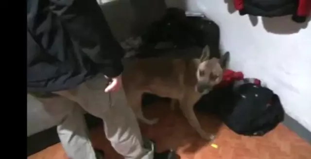 Eskişehir'de uyuşturucu operasyonu, 8 gözaltı Eskişehir'de uyuşturucu operasyonu, 8 gözaltı