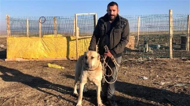 Köpek merakı yüzünden apartman dairesini satarak bahçeli ev aldı! Yavruları 10 ile 20 bin lira arasında satıyor