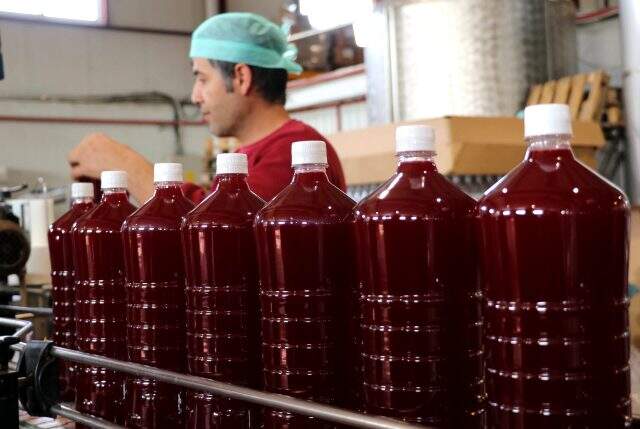 Koronavirüse iyi geldiği söylenen şalgam, Adana'dan 46 ülkeye ihraç ediliyor