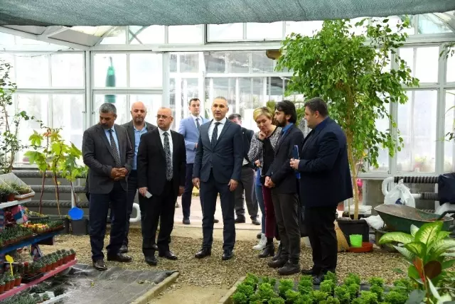Salihli'ye teknolojik sera kurulacak Salihli'ye teknolojik sera kurulacak
