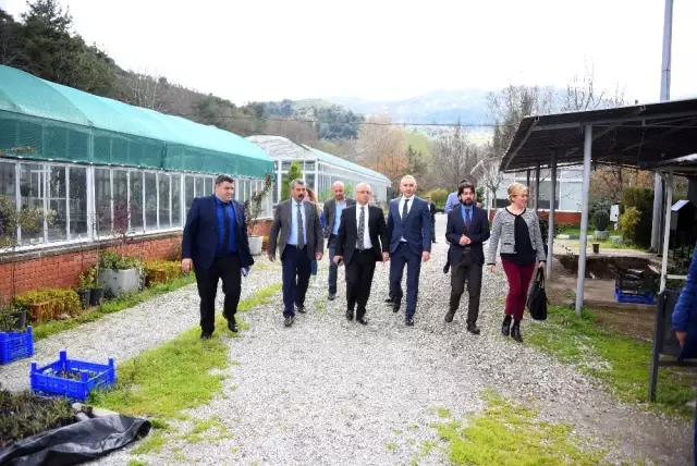 Salihli'ye teknolojik sera kurulacak Salihli'ye teknolojik sera kurulacak