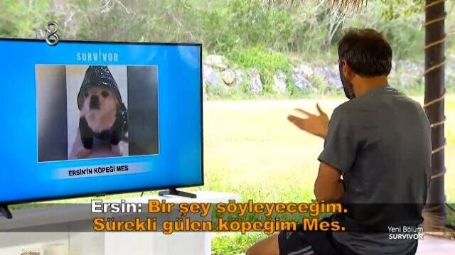 Survivor'da yarışan Ersin Korkut'un 20 yıllık köpeği hayatını kaybetti