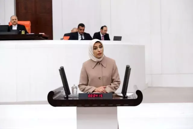AK Parti MKYK Üyesi ve Erzurum Milletvekili Zehra Taşkesenlioğlu Ban, TBMM genel kurulunda konuştu AK Parti MKYK Üyesi ve Erzurum Milletvekili Zehra Taşkesenlioğlu Ban, TBMM genel kurulunda konuştu