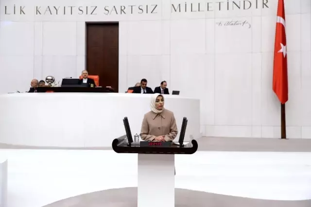 AK Parti MKYK Üyesi ve Erzurum Milletvekili Zehra Taşkesenlioğlu Ban, TBMM genel kurulunda konuştu AK Parti MKYK Üyesi ve Erzurum Milletvekili Zehra Taşkesenlioğlu Ban, TBMM genel kurulunda konuştu