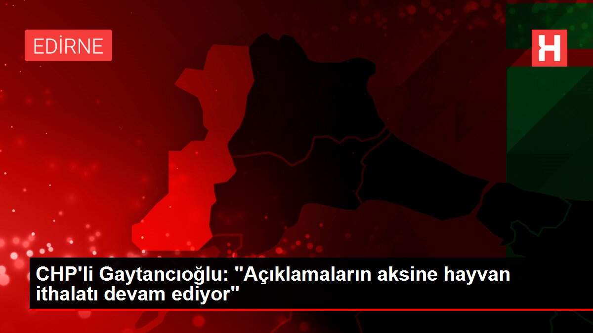 CHP'li Gaytancıoğlu: 'Açıklamaların aksine hayvan ithalatı devam ediyor'