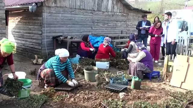 Ordu'da sağlık hizmeti vatandaşın ayağına götürülüyor Ordu'da sağlık hizmeti vatandaşın ayağına götürülüyor