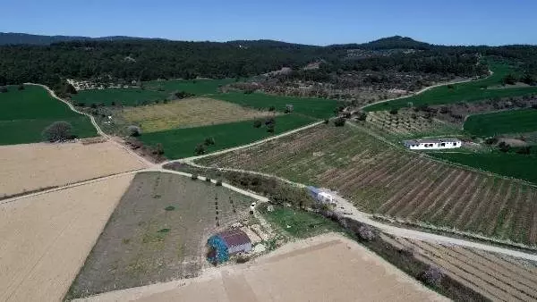 2 bin yıllık antik kenti soymaya kalkan defineciyi profesör yakaladı