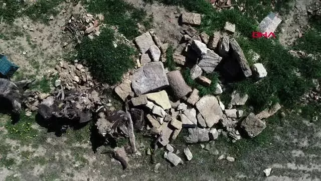 2 bin yıllık antik kenti soymaya kalkan defineciyi profesör yakaladı