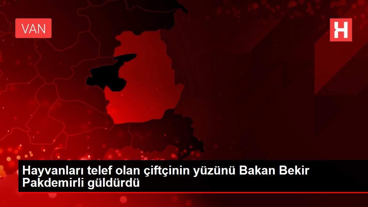 Hayvanları telef olan çiftçinin yüzünü Bakan Bekir Pakdemirli güldürdü Hayvanları telef olan çiftçinin yüzünü Bakan Bekir Pakdemirli güldürdü