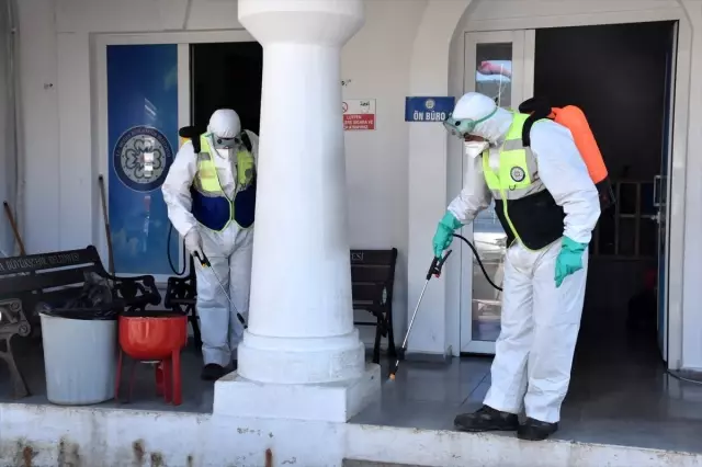İstanköy Adası'ndan feribotla Bodrum'a getirilen yolcular sağlık kontrolünden geçirildi