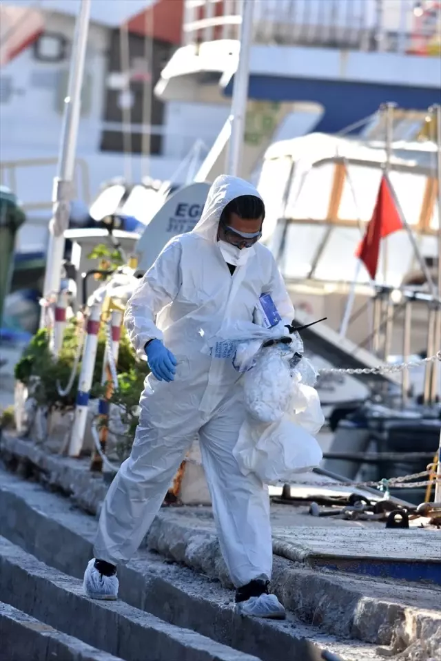 İstanköy Adası'ndan feribotla Bodrum'a getirilen yolcular sağlık kontrolünden geçirildi