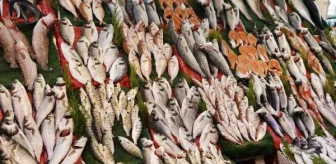 2018'de kişi başı balık tüketimi, 6,14 kilogram oldu