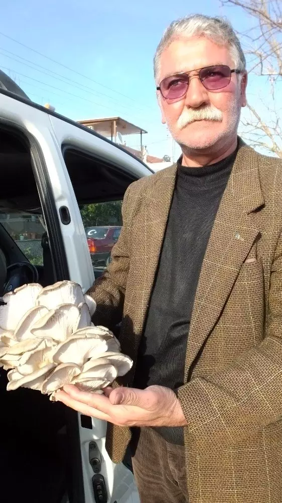 Emekli itfaiyeci, mantar üreticisi oldu Emekli itfaiyeci, mantar üreticisi oldu