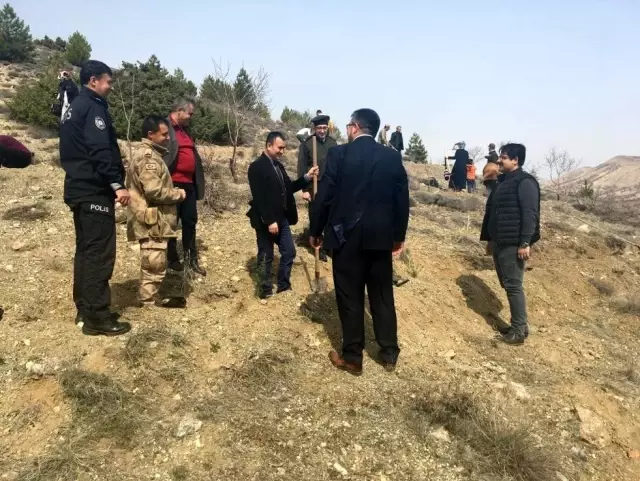 Hekimhan'da fidanlar toprakla buluşturuldu Hekimhan'da fidanlar toprakla buluşturuldu